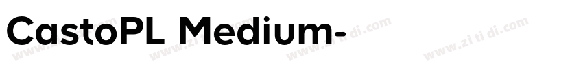 CastoPL Medium字体转换